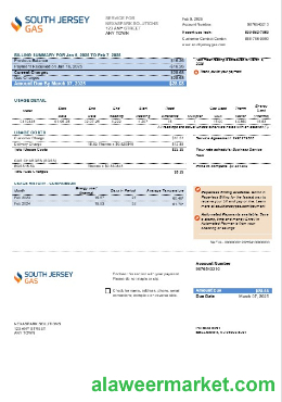 USA New Jersey South Jersey Gas business utility bill template in Word and PDF formats